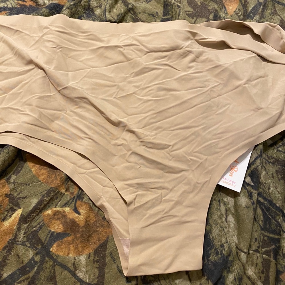 Lane Bryant cheeky panty
